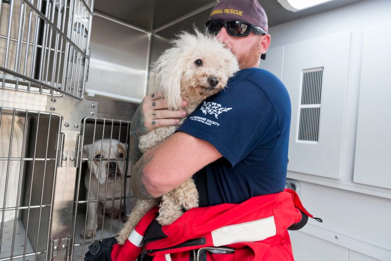 The HSUS Animal Rescue Team (ART) assists the city with animal rescue and response following Hurricane Harvey. (Anthony Rathbun/Humane Society Of The United States)