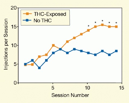 Study: Marijuana Use May Increase Risk of Nicotine Addiction