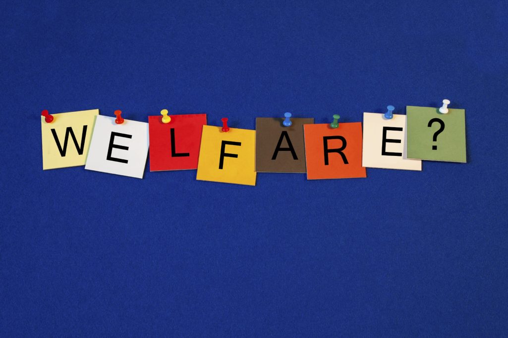 States can strengthen families and fight welfare dependence and fraud