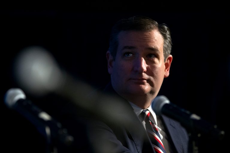 Sen. Ted Cruz, R-Texas Texas introduced a constitutional amendment on Tuesday that would impose term limits on members of Congress. (AP Photo/Cliff Owen)