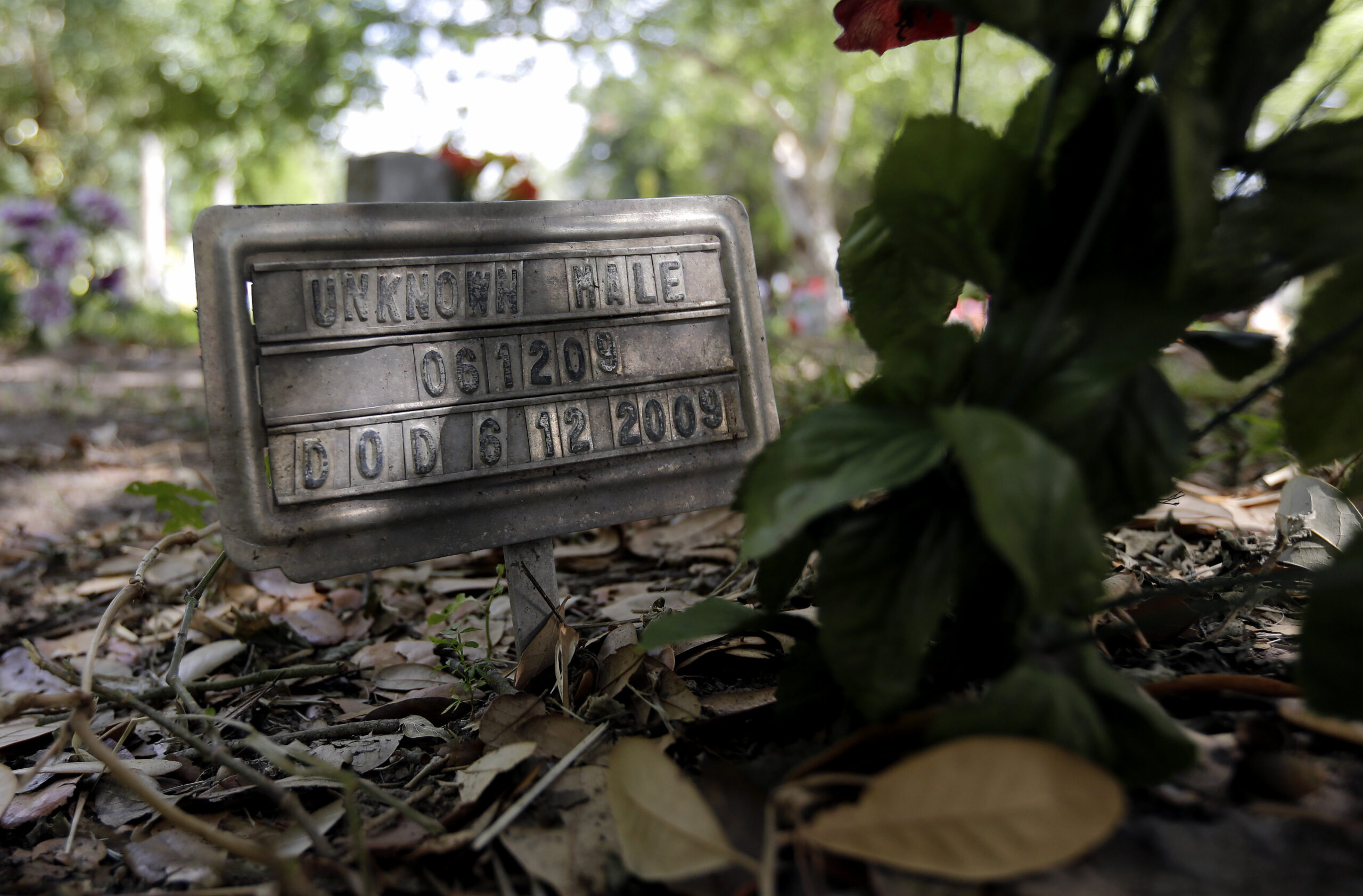 Texas county to look into immigrant burials