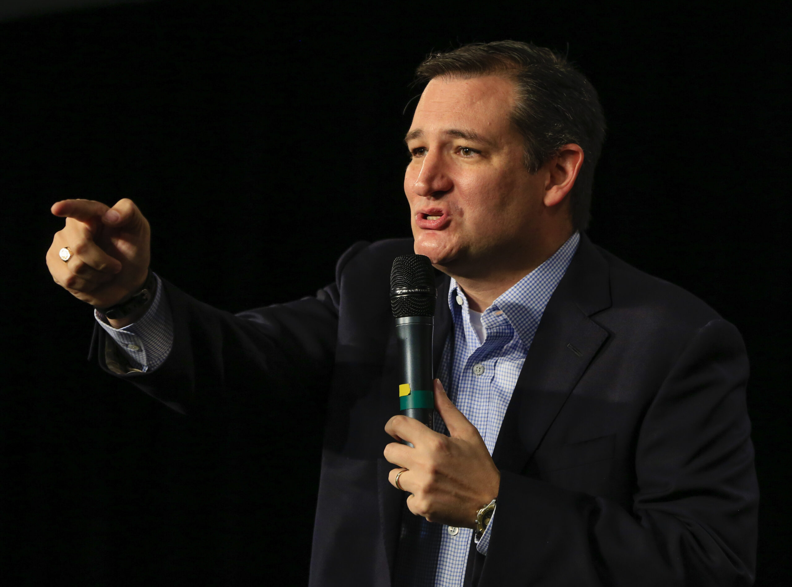 Cruz fights Senate Dems on illegal immigration