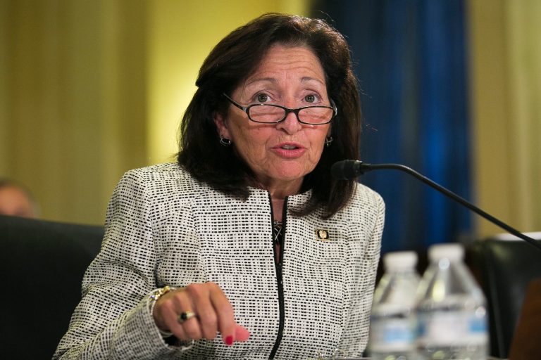 Gina Farrisee, assistant Veterans Affairs secretary for human resources, testifies before a House Veterans Affairs Committee hearing on the scandal surrounding bonuses being paid to top VA officials (Graeme Jennings/Washington Examiner)