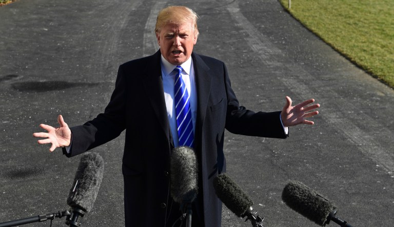The poll found 53 percent of adults would describe President Trump's first year in the White House as a disappointment. Forty percent deem it a success. (AP Photo/Susan Walsh, File)