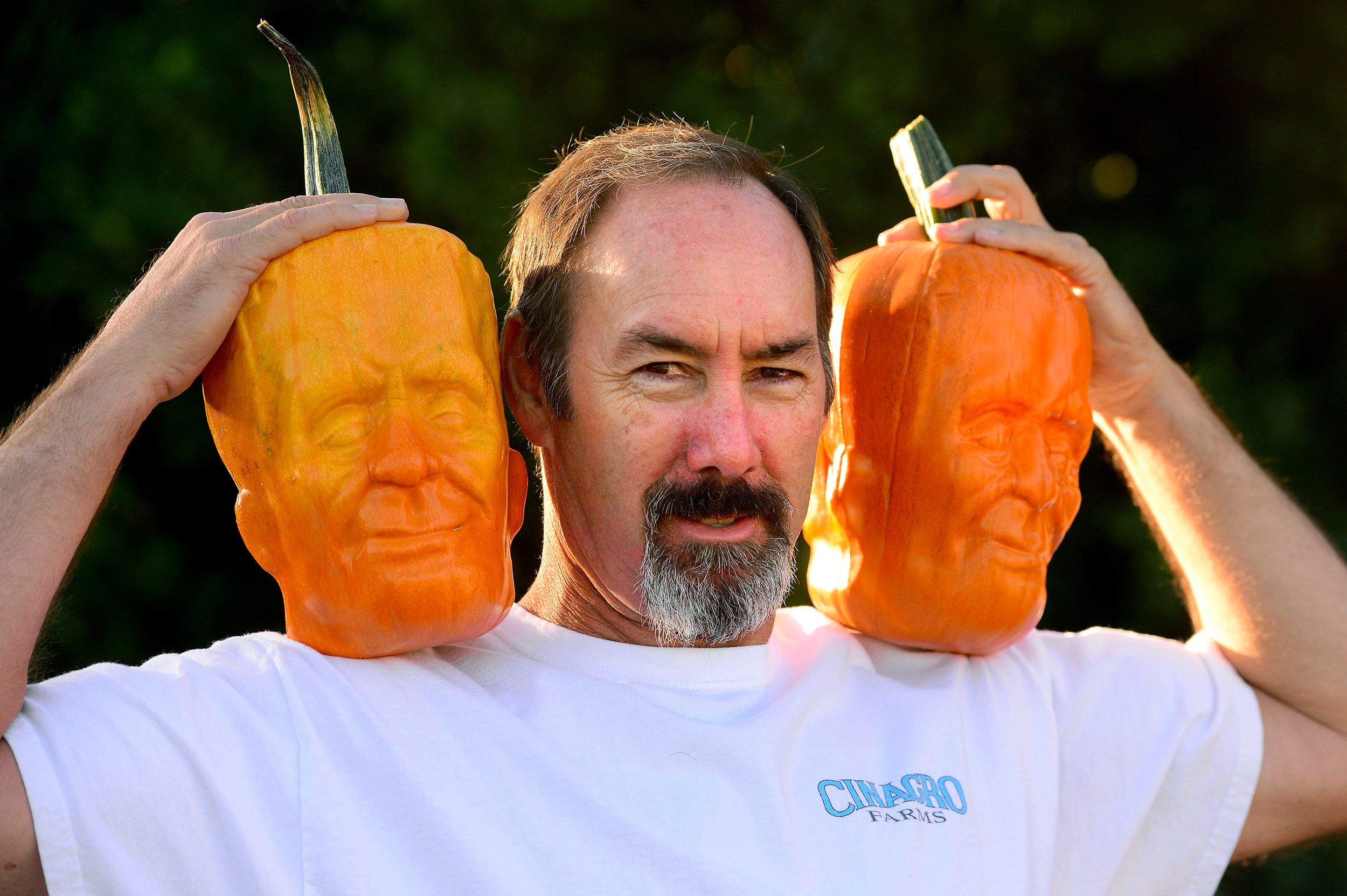 Pumpkins shaped like Frankenstein’s head are a hit
