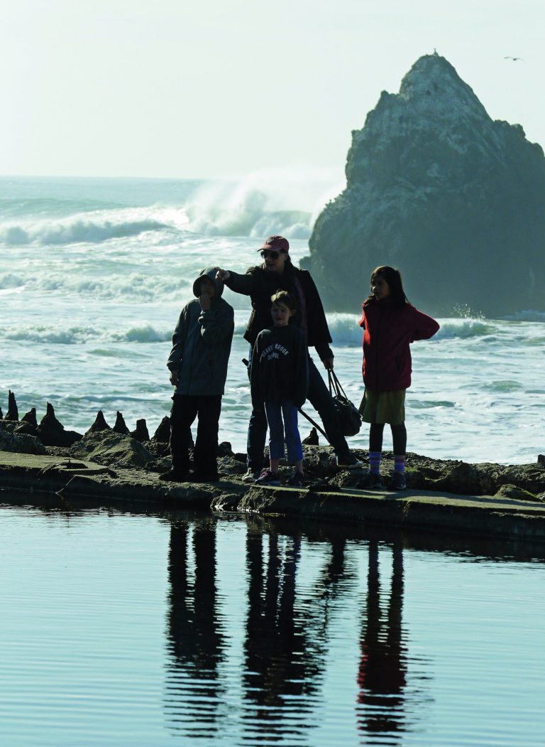Spectators line the ruins of the Sutro Baths for a glimpse of a river otter Thursday, Jan. 3, 2013, in San Francisco. For the first time in decades, a river otter has made San Francisco its home, taking up residence in the ruins of a 19th century seaside public pool facing the Pacific Ocean. (AP Photo/Ben Margot)