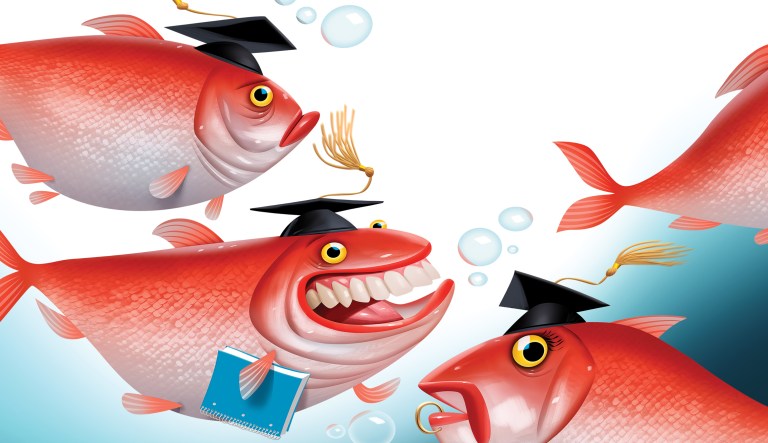 College administrators are the problem