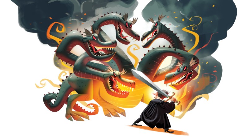 The court takes on the administrative state