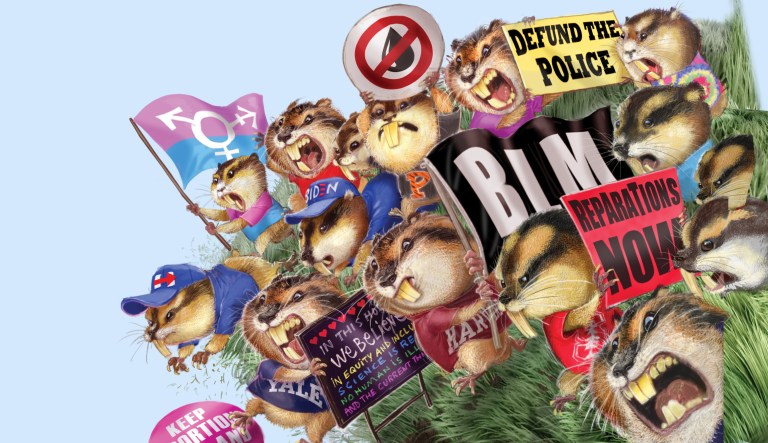 The political gluttony of the leisure class