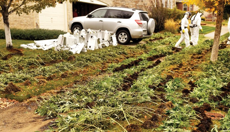 Pot’s broken promises