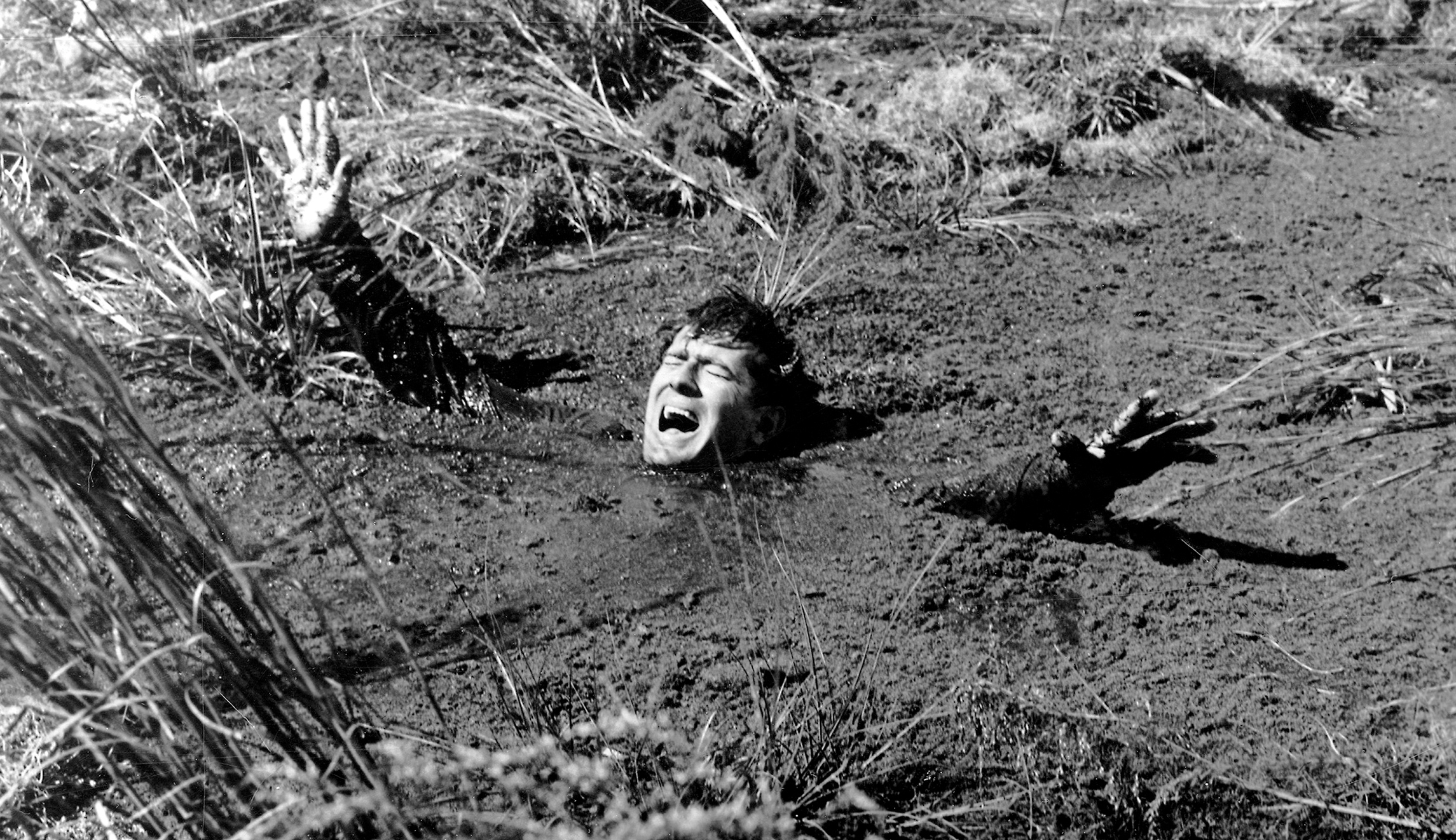 Whatever happened to quicksand?