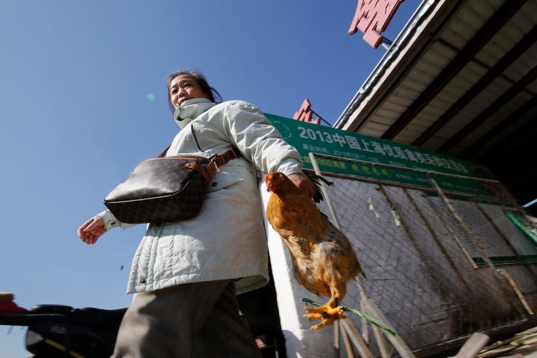 In this Tuesday, Jan. 21, 2014 photo, a woman carries a chicken as she leaves a wholesale poultry market in Shanghai. A spate of bird flu cases since the beginning of the year in China has experts watching closely as millions of people and poultry are on the move ahead of the Lunar New Year holiday, the world's largest annual human migration. (AP Photo)
