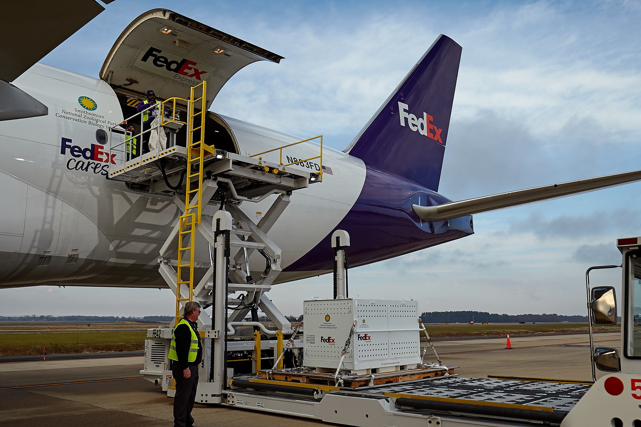 FedEx Panda Express 2.jpg