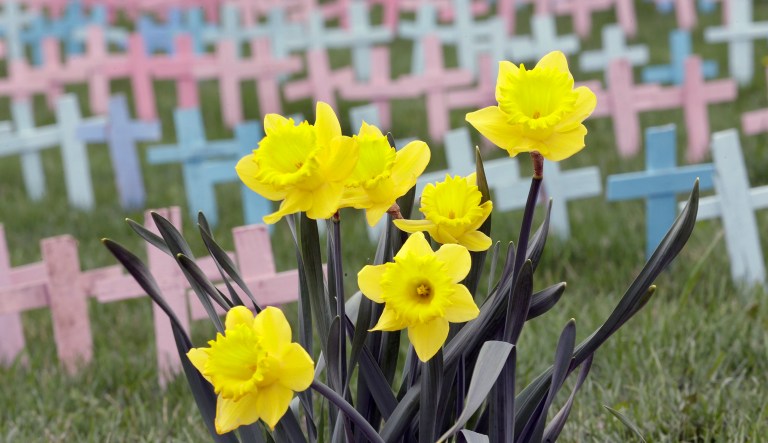 Last year, a student at Washington State University destroyed a 