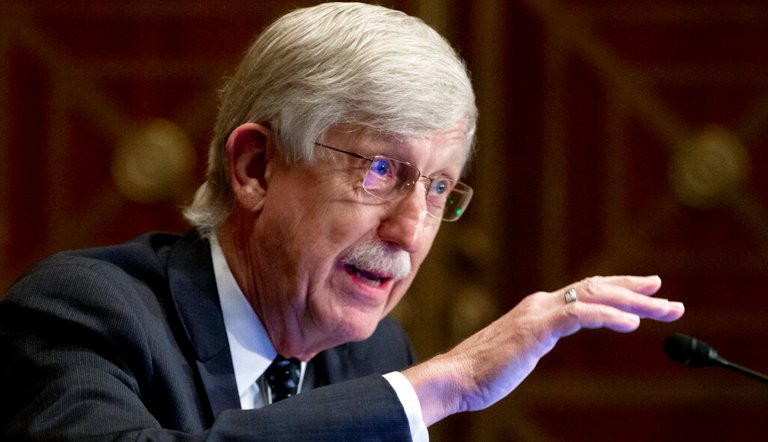 Expert shows us why ‘trust the experts’ was always bad advice