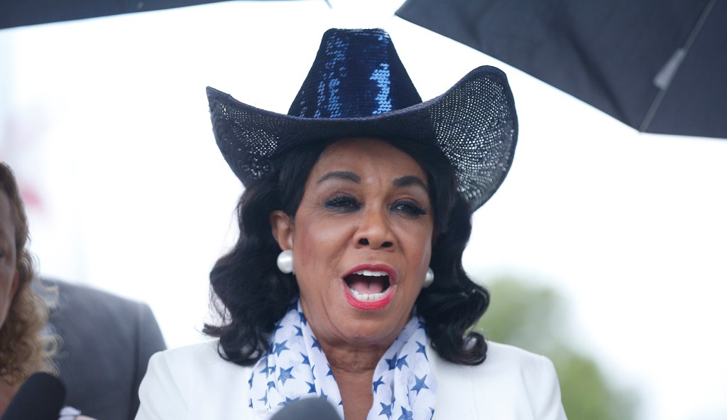 Rep. Frederica Wilson: ‘White men’ use detention facilities as a ‘money making scheme’