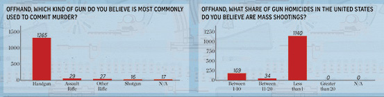 gun debate mag story