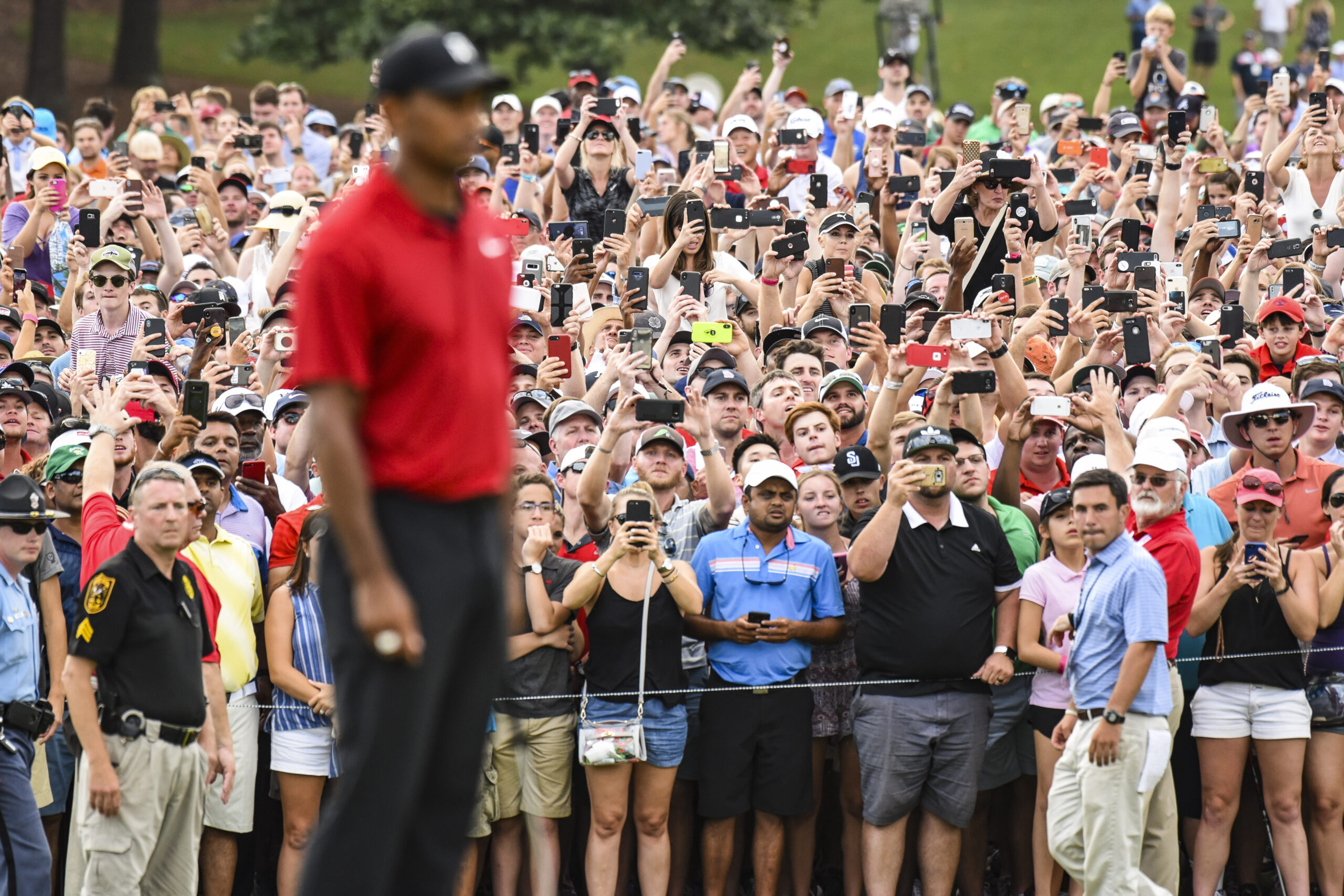 The ‘Tiger Effect’