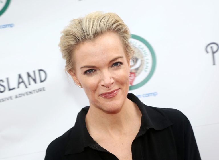 Megyn Kelly goes on parenting rant amid ‘Letter to America’ TikTok trend