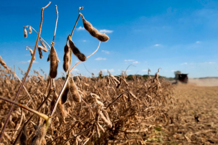 Can Trump’s Ag Bailout Save Farmers from His Tariffs?