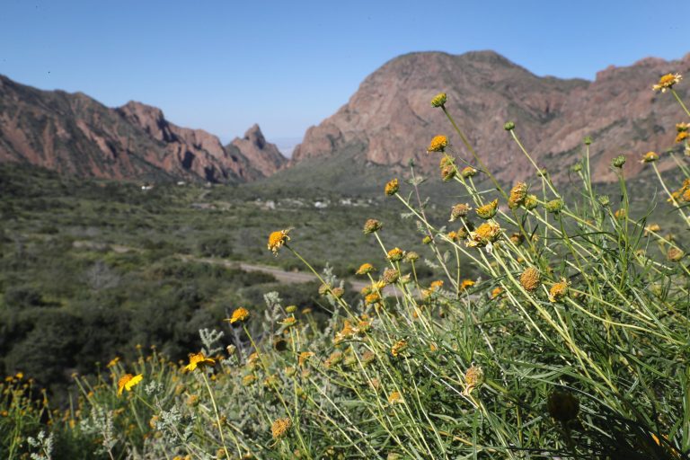 Trump’s Slush Fund and the New Border Crisis