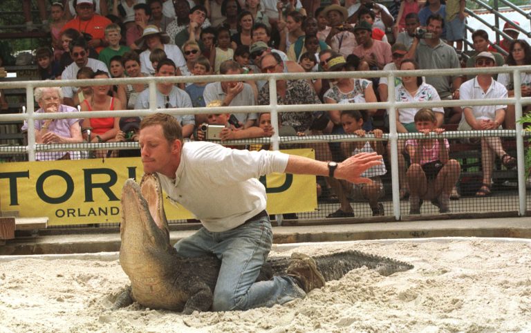 The Florida Man meme selects the fringier, more anti-social elements in the state and attempts to frame the totality of Floridians as gator-toting loons.