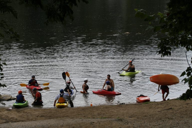 Afternoon Links: Swimming in the Swamp and a ‘Mooving’ Proposal