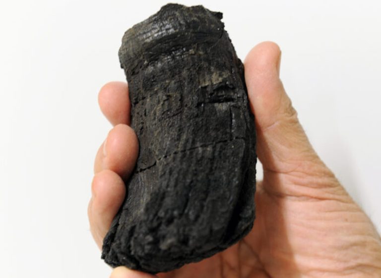 Giant tooth of ancient sea monster discovered in the Swiss Alps