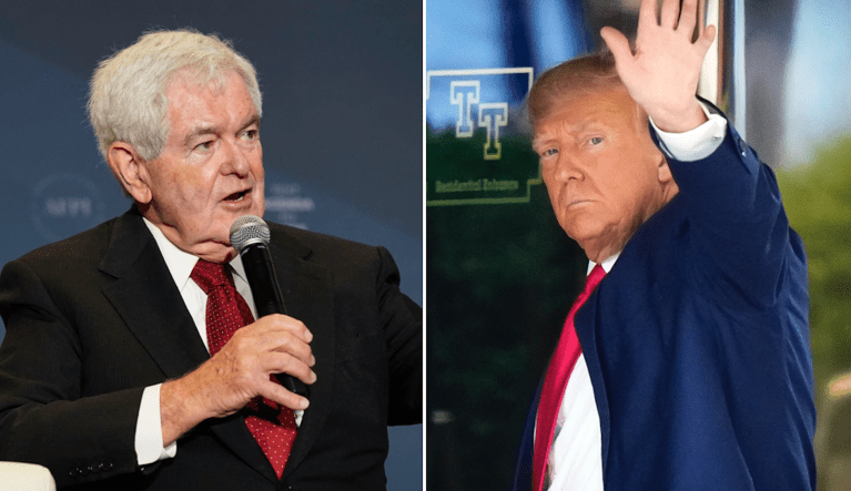 Newt Gingrich (left) and Donald Trump.