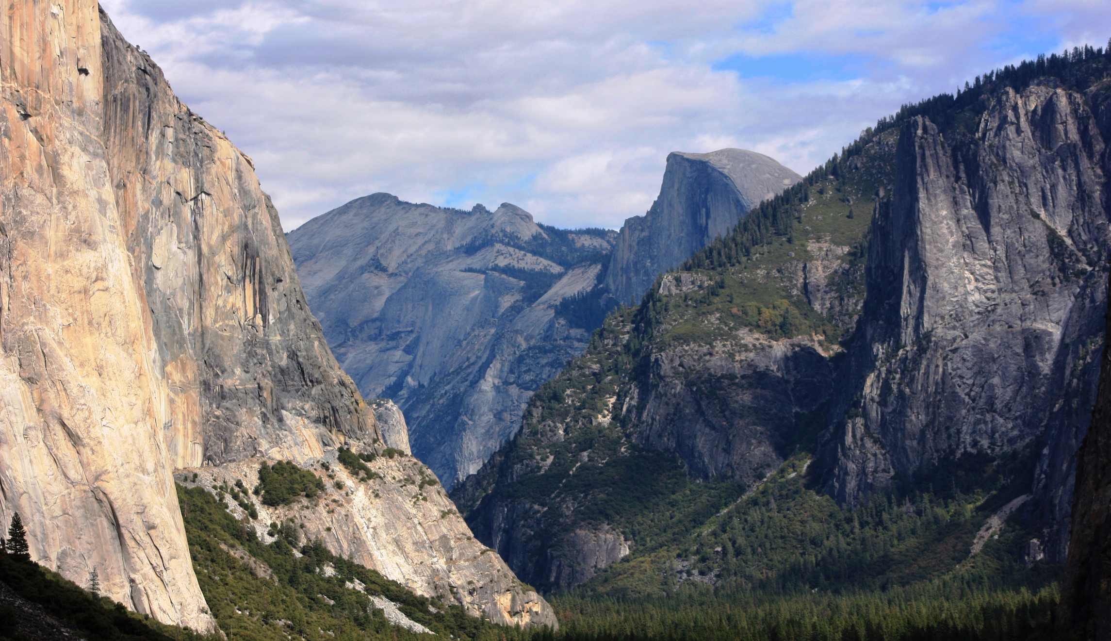 Put conservatives back into conservation