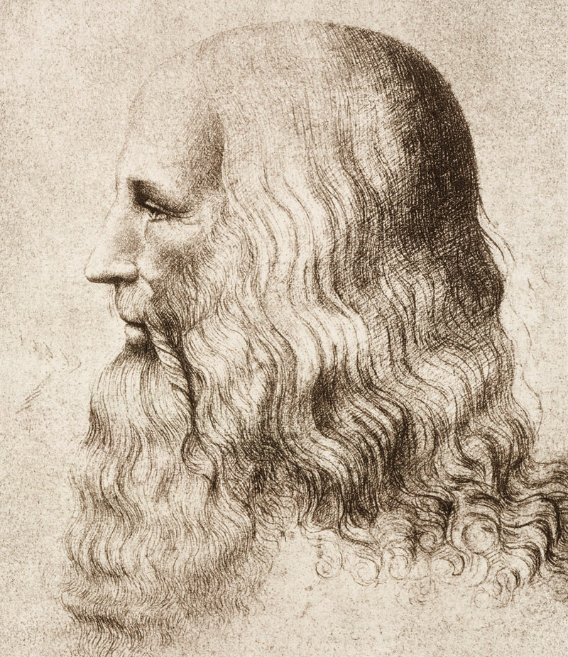 Leonardo da Vinci (ca. 1510)