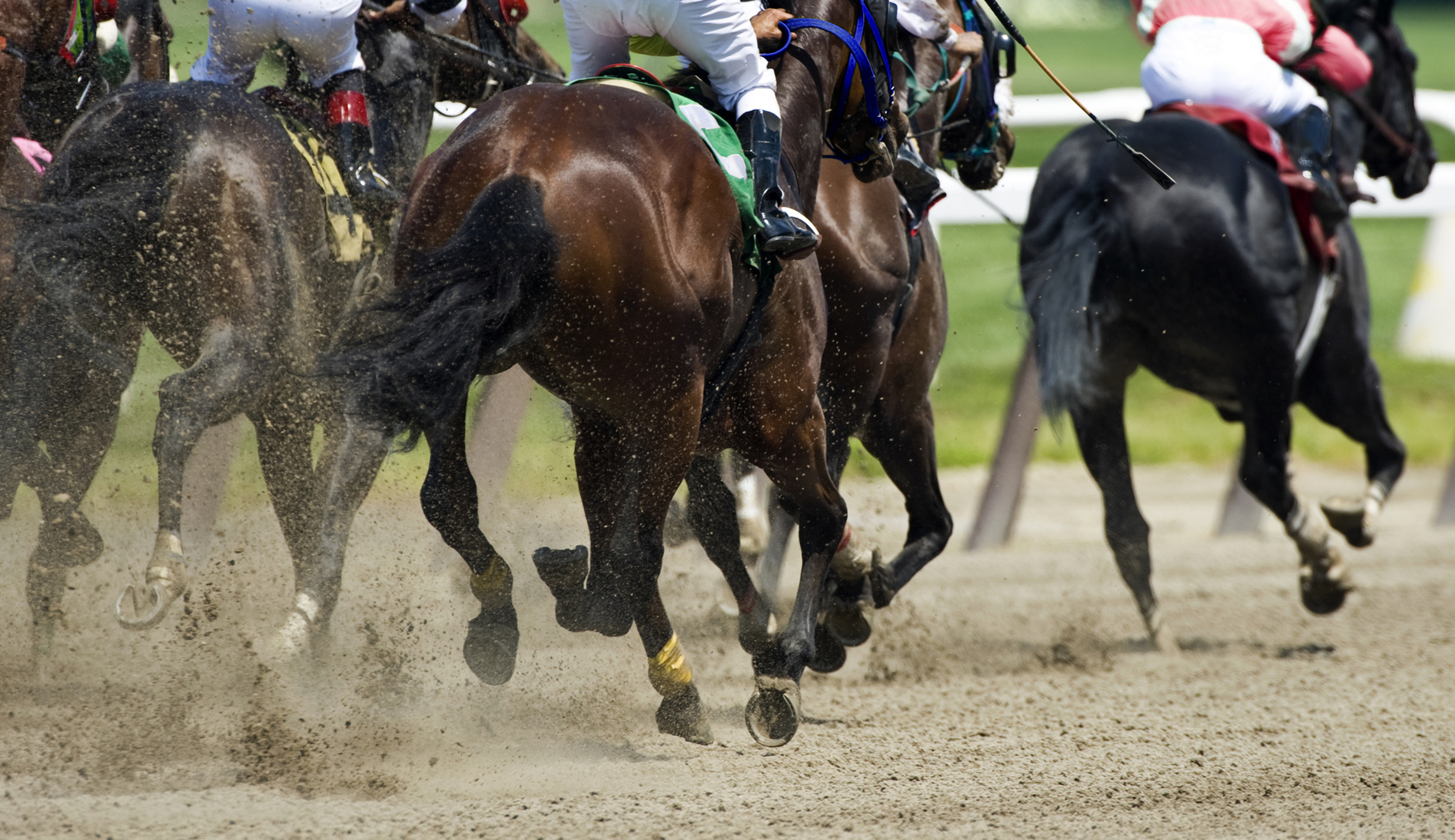 Horse racing measure earns Georgia Senate committee approval