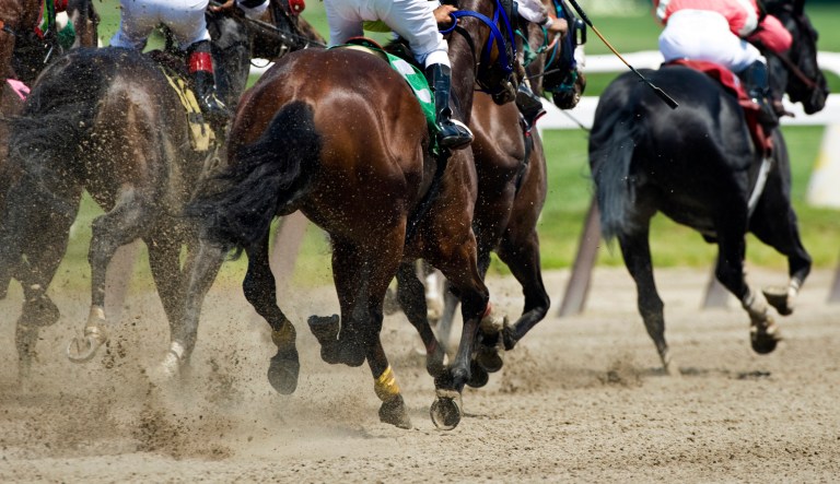 Protect racehorses: A bipartisan effort in Congress