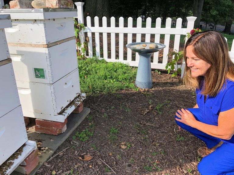 Karen Pence, the second lady, has improved her bee yard at the Vice President's residence.