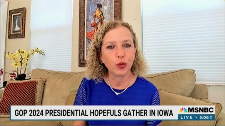 Democrat representative blames ‘MAGA extremism’ of Ron DeSantis, Nikki Haley for debt ceiling vote