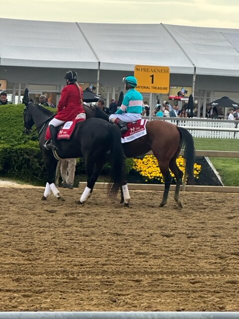 Horses at the Preakness on Saturday May 20