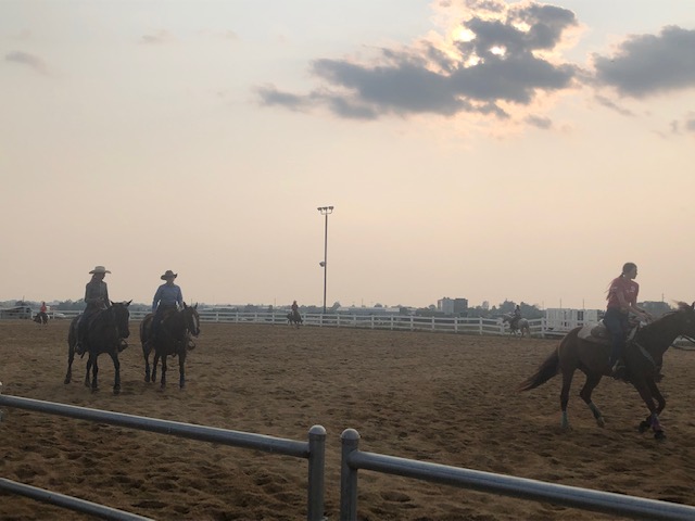 Democrats need the very centrists they demonize