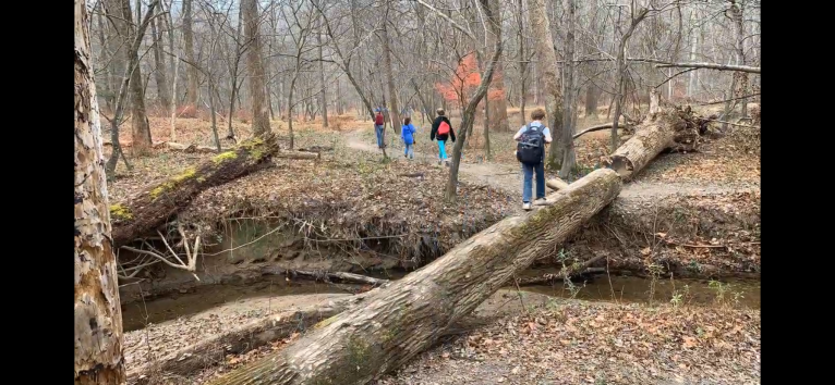 My ‘Black Friday’ tradition: The seven-mile hike