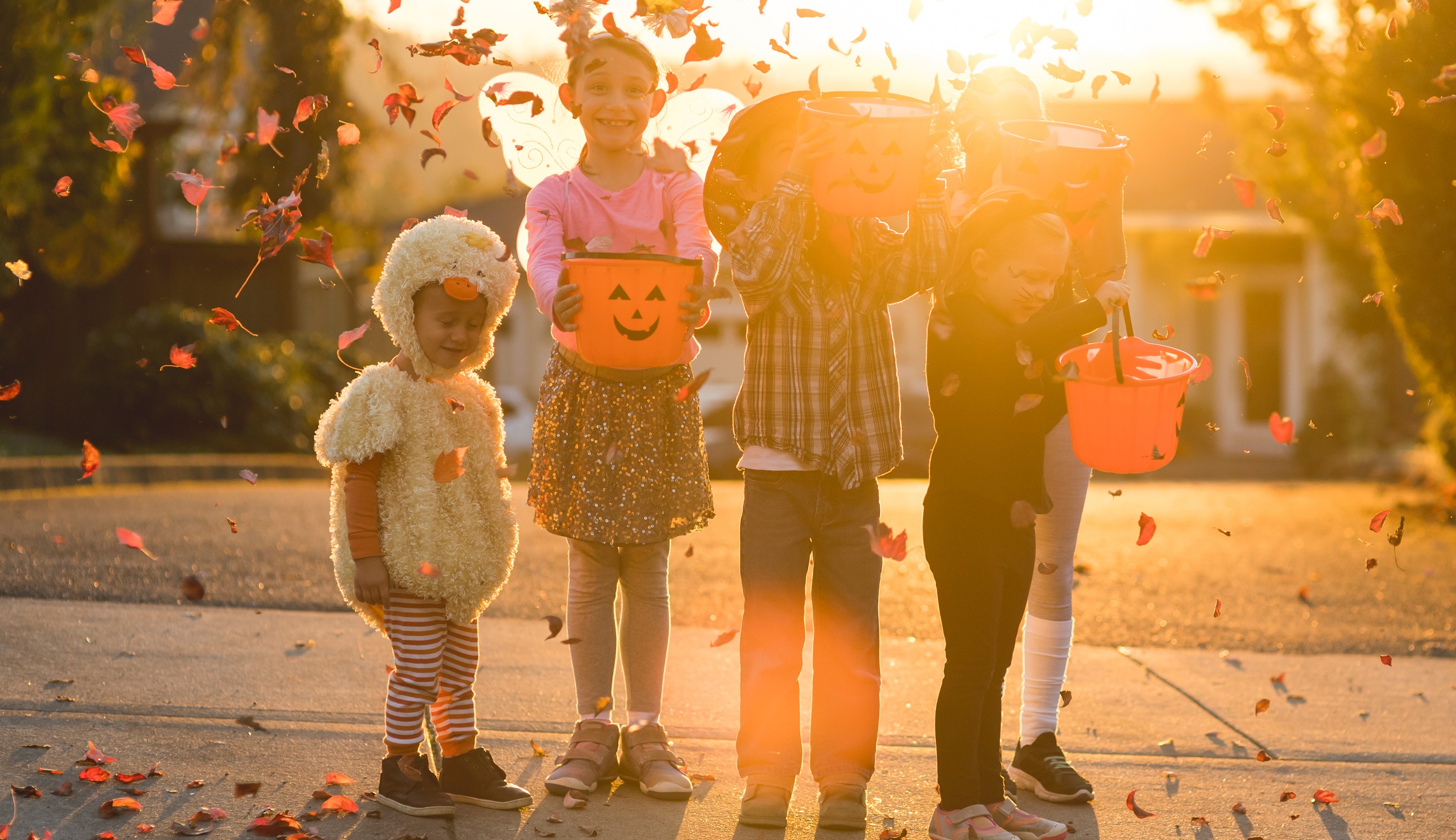 No one is giving your children marijuana candy this Halloween