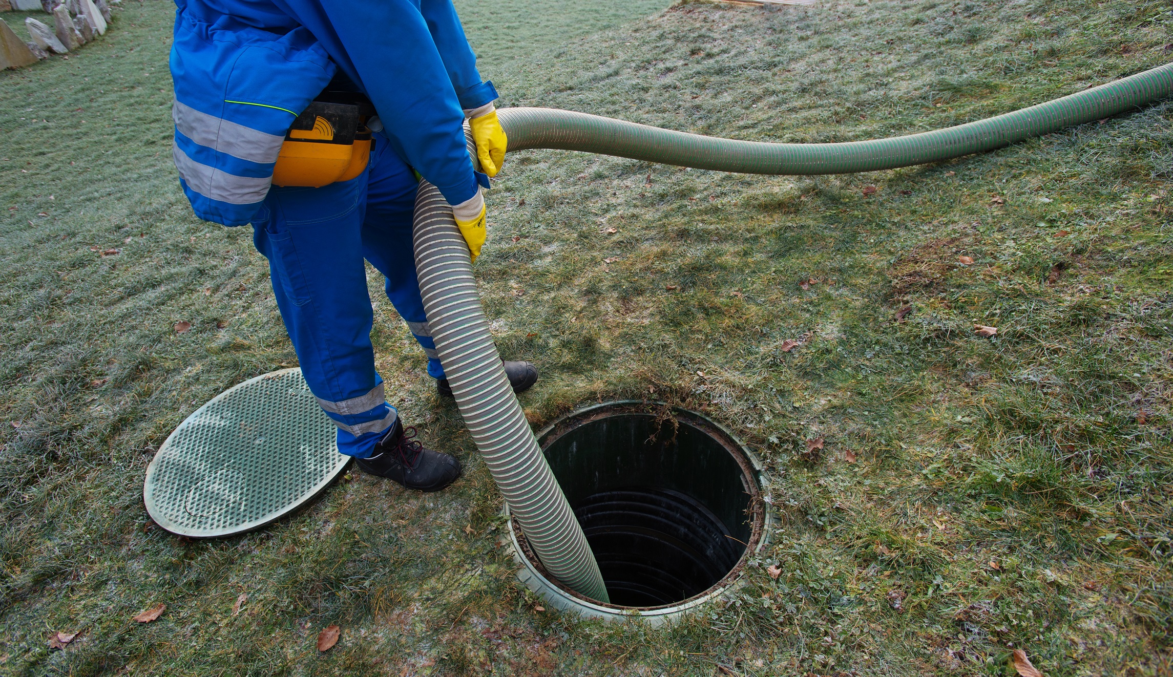 Capitalism kills crappy jobs