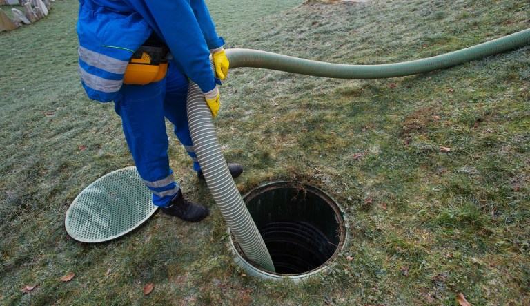 Capitalism kills crappy jobs