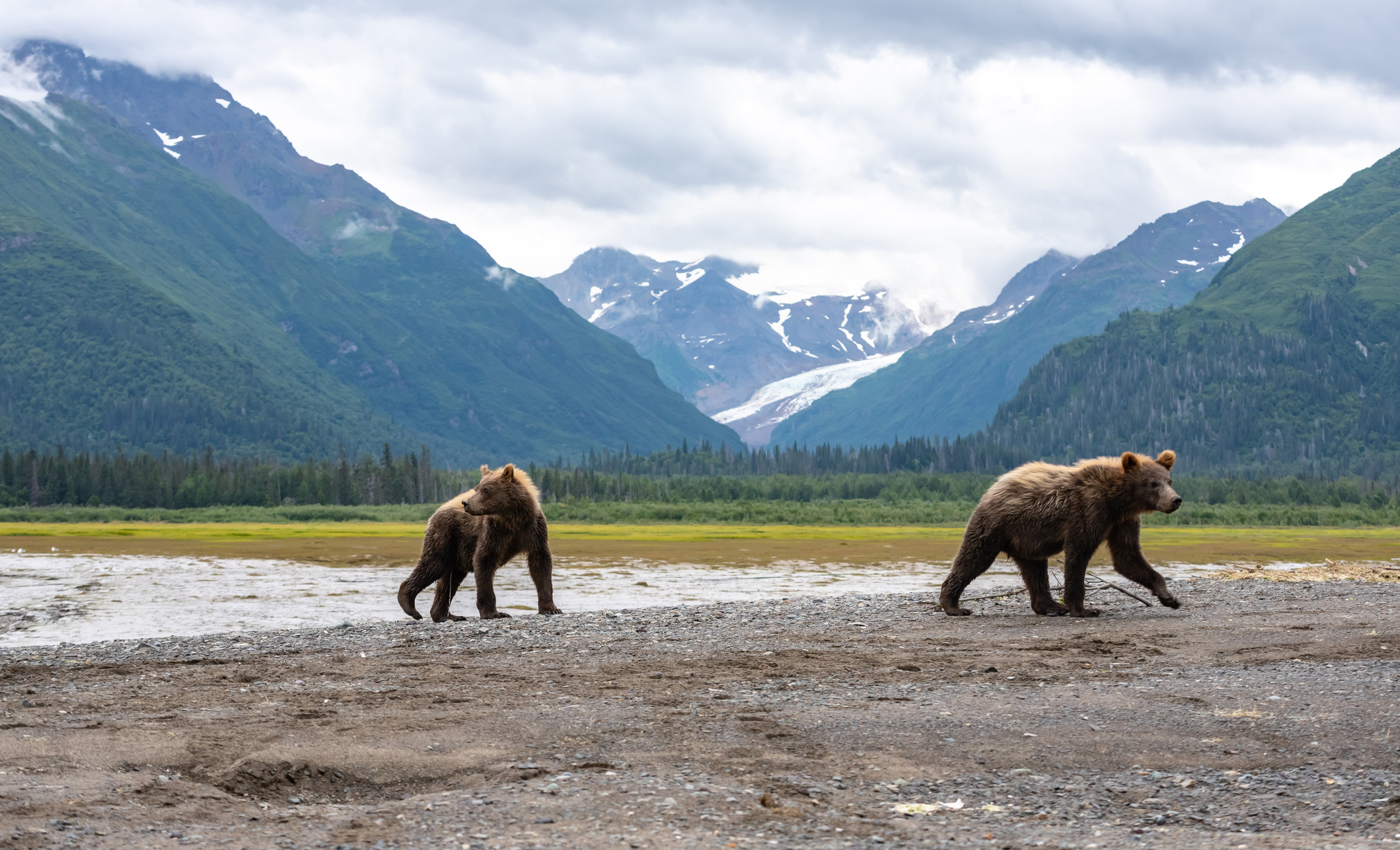 Trump administration set to sell leases this year for drilling in Arctic National Wildlife Refuge