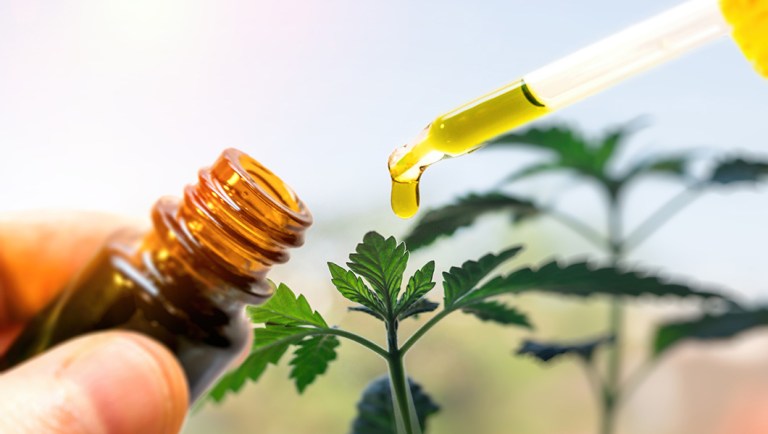 Scott Gottlieb warns that Rite Aid risks regulatory trouble selling CBD cosmetics