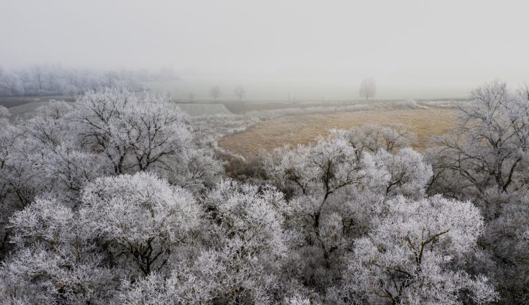 Aerial view of road bends in winter forest.