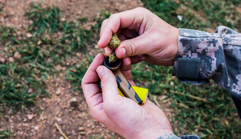 The VA and the FDA are keeping veterans from a helpful treatment option, just because it’s marijuana