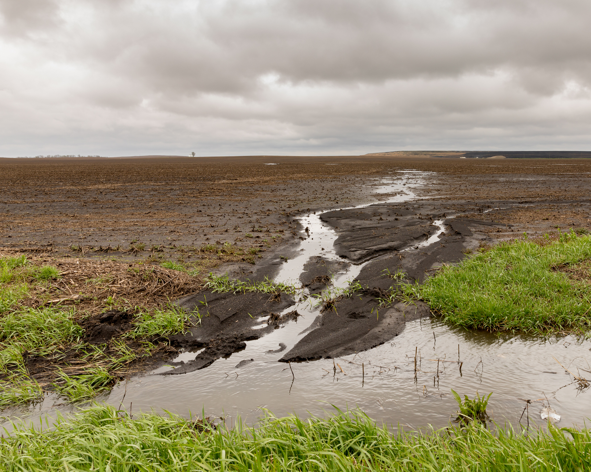 Heavy rains endanger some Illinois crops