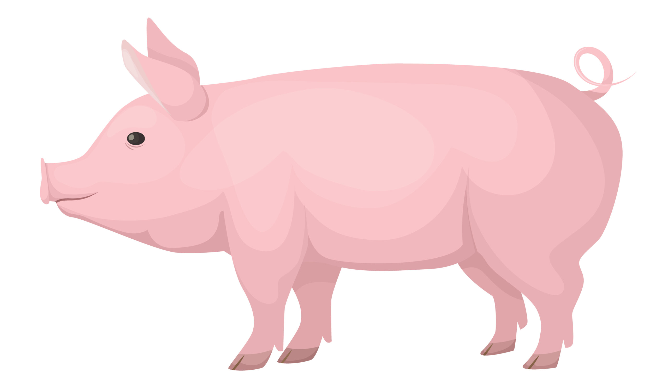 Costly ‘earmarks’ reach $15B, largest since pork ban imposed