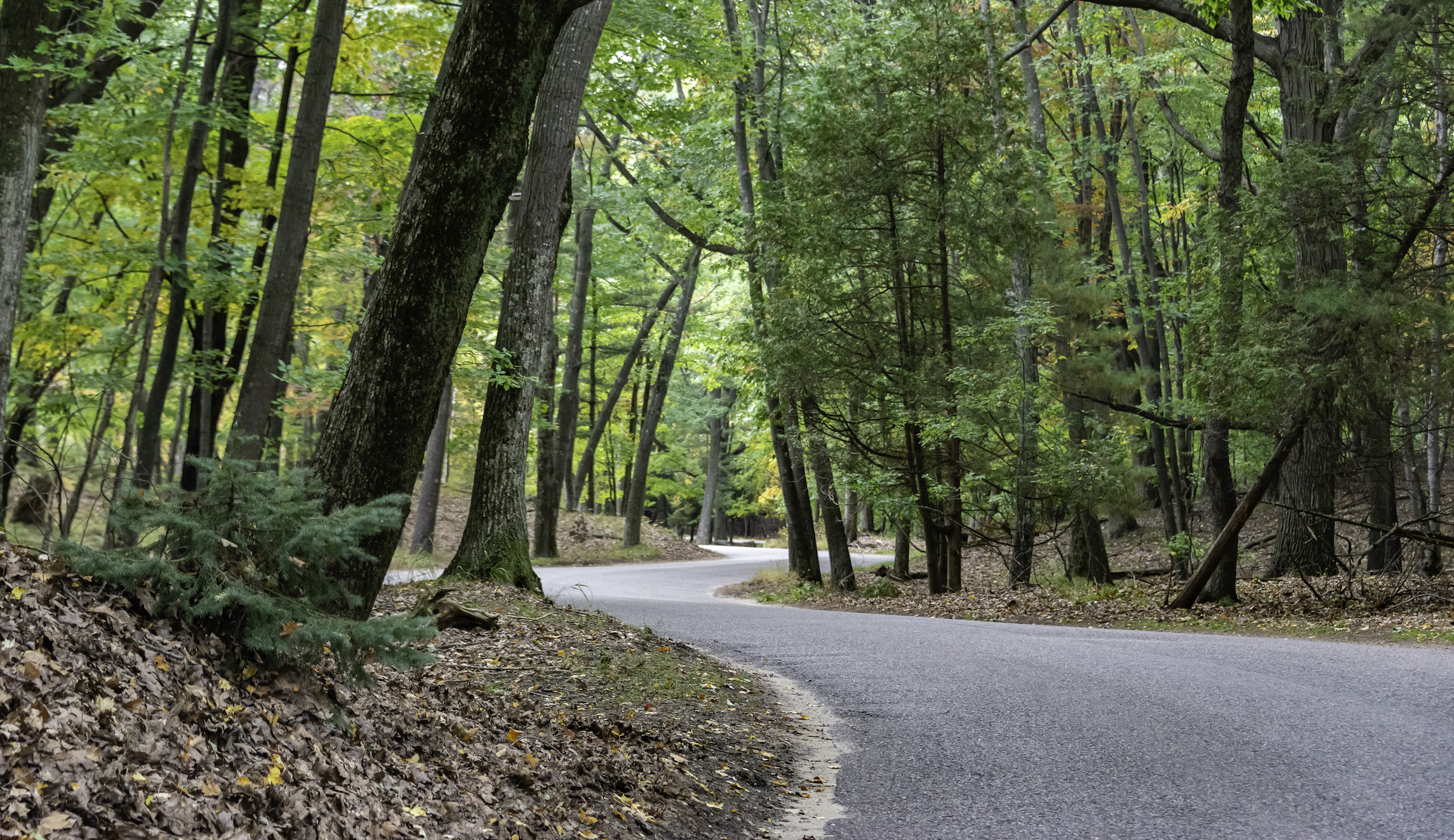 Michigan voters approve Proposal 1 to change future park funding