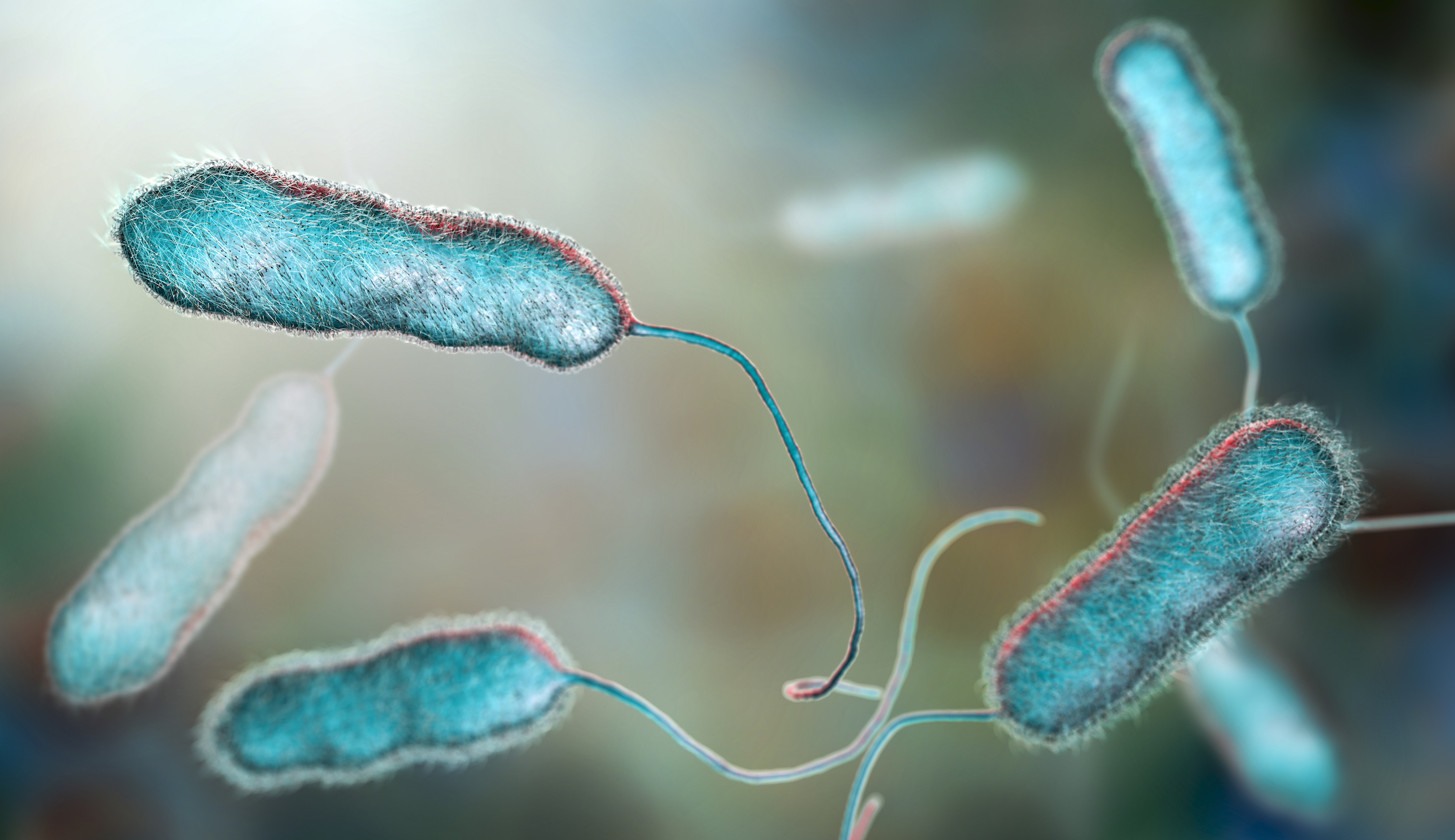 Legionella bacteria found in water in at least six federal buildings