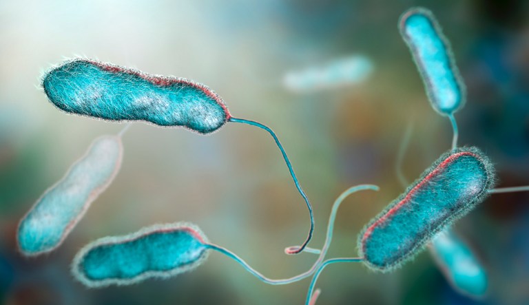 Legionella bacteria found in water in at least six federal buildings